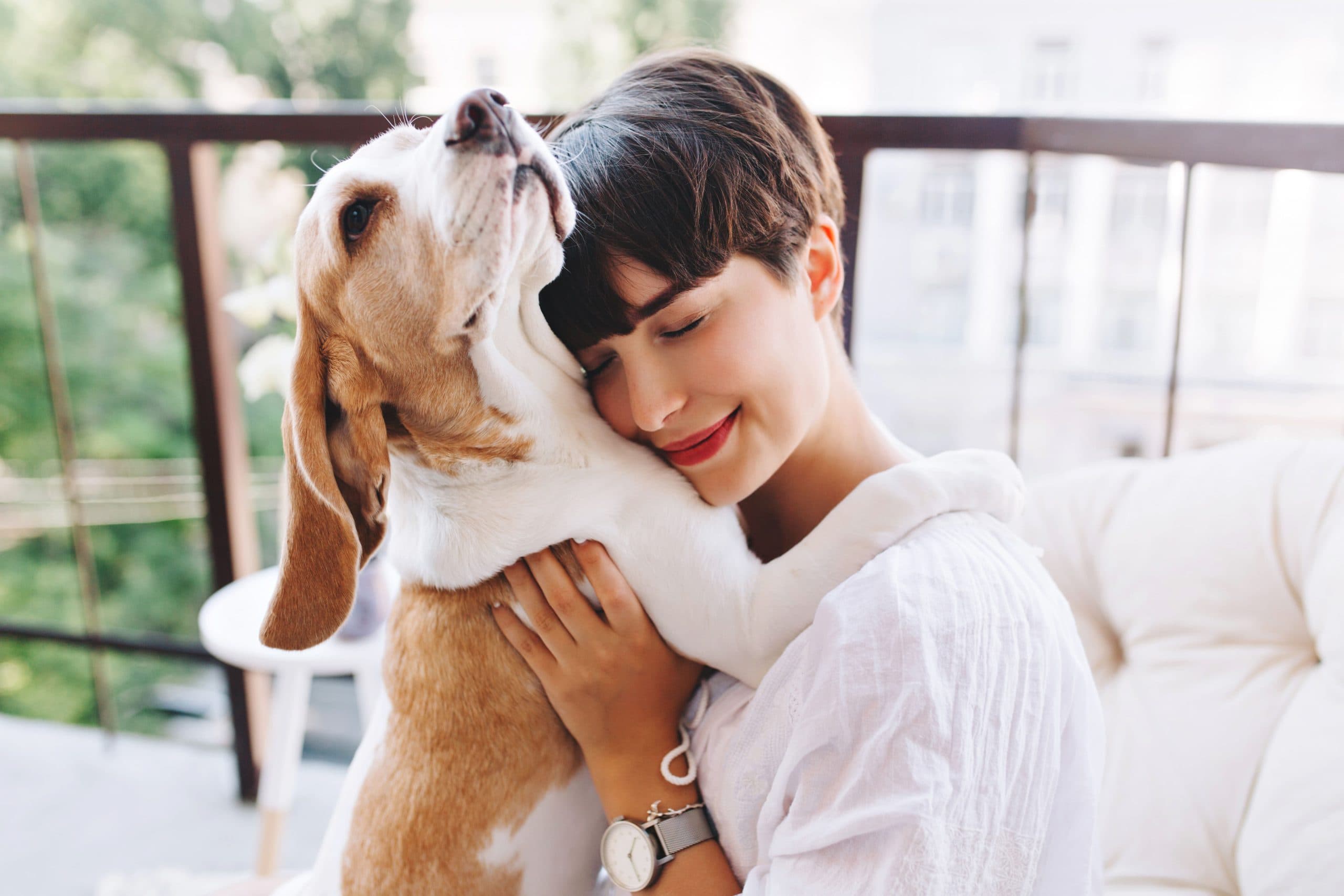 A influência do pet na saúde mental humana