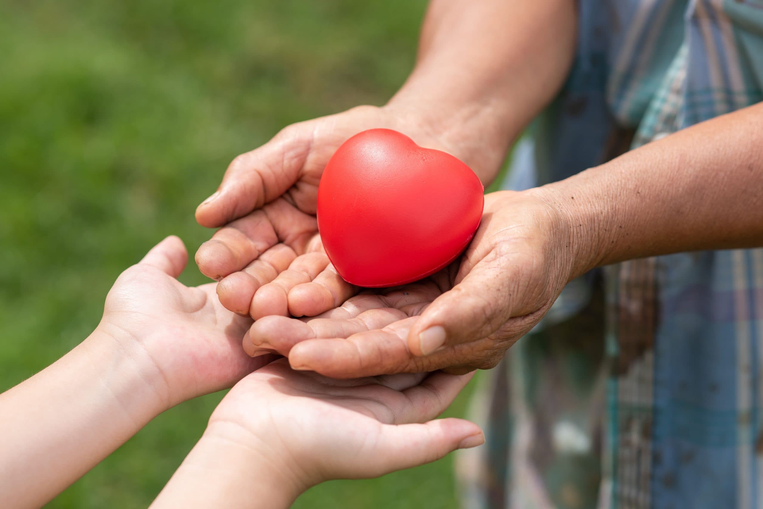 Veja cinco motivos para você doar sangue regularmente