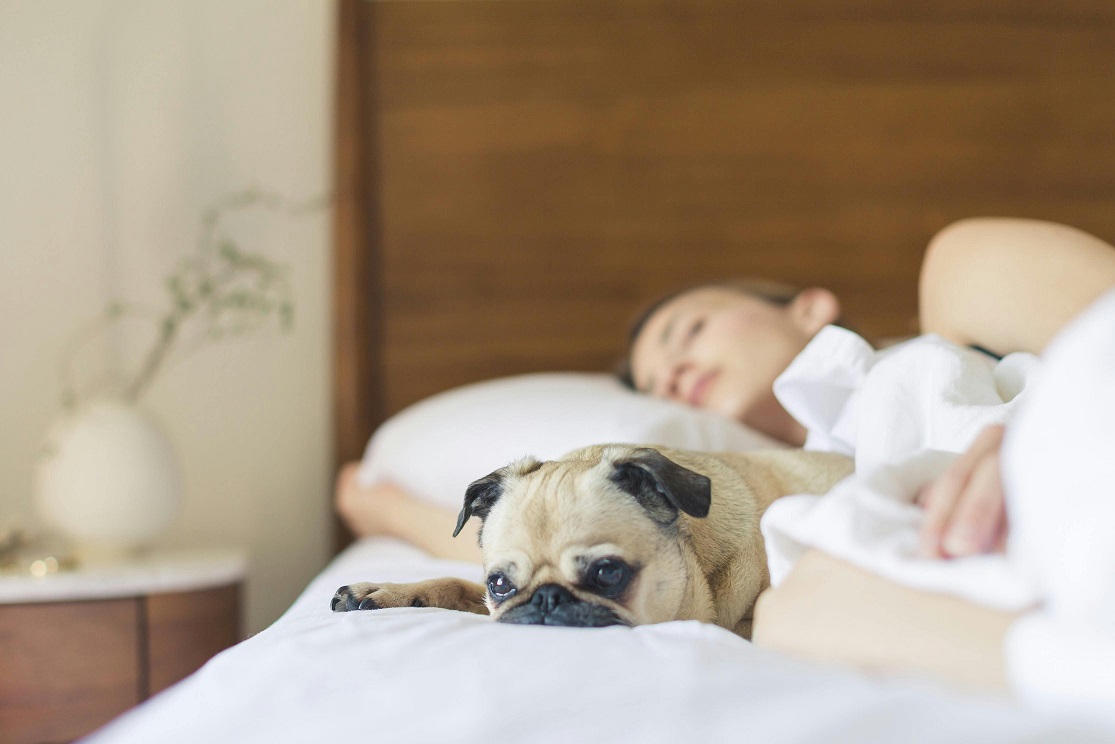 Dormir menos do que o necessário: 5 consequências para a sua saúde